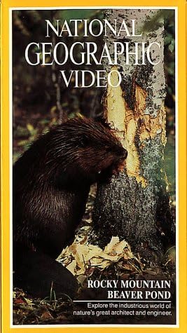 日本限定モデル Geo 中古 Nat L Rocky Vhs Pond Beaver Mountain その他 Crazyshark Com Co