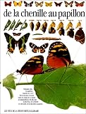 De la chenille au papillon by