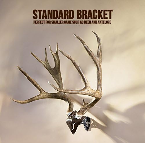 Bone Bracket European Trophy Mount by Skull Hooker – Perfect Kit for Hanging and Mounting Capped Skulls for Display
