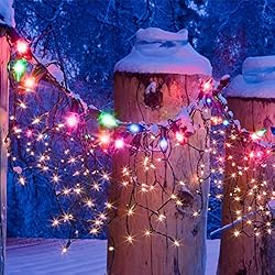 C7 Replacement Christmas Lights Bulbs, Multicolor