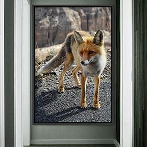 signwin Framed Canvas Wall Art Red Fox Animals...
