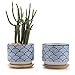 T4U 3 Inch Ceramic Succulent Planter Pots with Bamboo Tray Set of 2, Japanese Style Porcelain Handicraft as Gift for Mom Sister Aunt Best for Home Office Restaurant Table Desk Window Sill Decoration