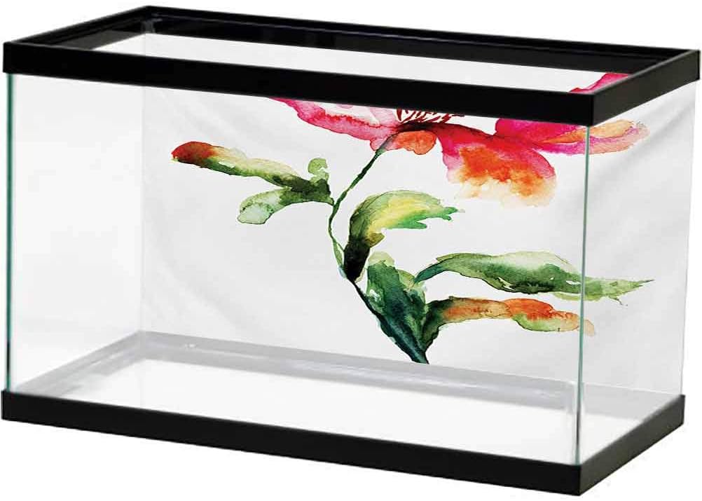 single fish aquarium