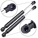 ECCPP 2pcs Rear Trunk Lift Supports for 2004-2008 Nissan Maxima Compatible with SG425004 4078