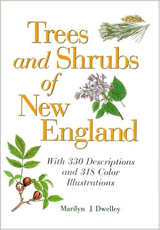 Trees And Shrubs Of New England Marilyn Dwelley 9780892724918 - trees and shrubs of new england 2nd edition