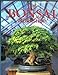 The Bonsai Workshop by 