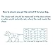 Comfort Fit Dog Harness No Pull with 2 Leash Clips Step in Harness for Small Sized Dogs Soft Padded Comfortable All Weather Dog Vest with Easy Control Adjustable Buckles for Dogs & Puppies – Blue XS