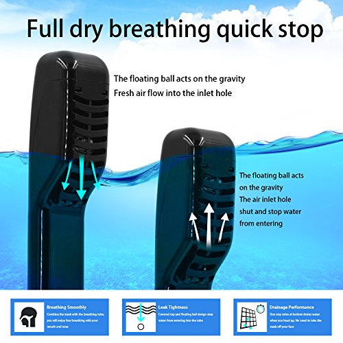 WAMTHUS Snorkel Mask Full Face Easybreath The Seaview 180 Degree Snorkeling Mask for GoPro/Free Easy Breath Anti-Leak & Anti Fog Scuba Diving Mask for Adults Youth Kids L/XL