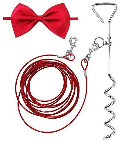Lylyzoo Dog Tie Out Cable 16ft and Spiral Stake, with Anti-Winding Metal Ring and 2 Clasps, for Yard, Camping and Outdoors, Bowknot Tie as Gift, Small to Medium Pets