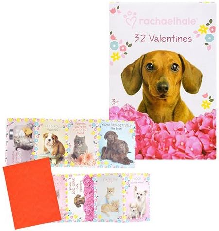 Valentine's Day Cards Rachael Hale Licensed Cartoon Character, 32-ct.