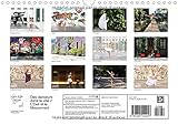 Image de Des danseurs dans la ville 2 L'Oeil et le Mouvement 2016: Les danseurs fascinent, leur elegance et leur grace captivent le regard. Suivez-les dans .