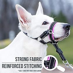 GoodBoy Dog Head Halter with Safety Strap - Stops