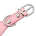 Didog - Cute PU Leather Dog Collar - Rhinestone Flower Pattern Studded - 1 Inch Width Fit Small and Medium Dogs,Pink 12-15