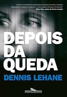 Livro Depois da queda