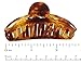 Parcelona French Light Tortoise Shell Brown Rain Drop Small 2 3/4 Inches Jaw Hair Claw Clip Clamp (Light Shell)