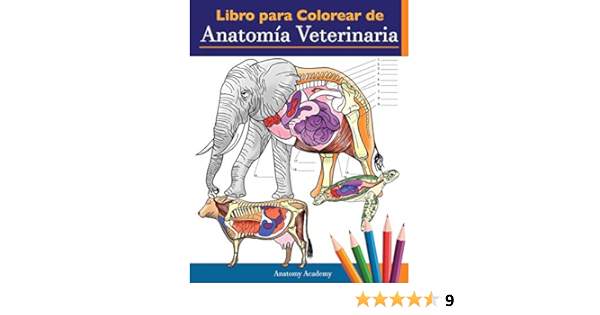 Amazon Com Libro Para Colorear De Anatomia Veterinaria Libro De Trabajo Para Colorear De Autoevaluacion De Fisiologia Animal Para Estudiar Y Relajarse Un E Incluso Adultos Spanish Edition 9781838188641 Academy Anatomy Books