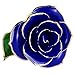 PREUP Blue Gold Dipped Rose, Long Stem 24k Gold Dipped Real Rose Lasted Forever, Special Valentines Day and Anniversary Gift for Her