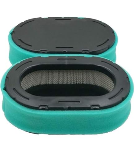 Filtro Carburante ISE (confezione Da 5) Adatto A Kohler - Foto 10