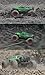 TOZO C1142 RC Car Sommon Swift High Speed 30Mph 4x4 Fast Race Cars1: 24 Rc Scale RTR Racing 4WD Electric Power Buggy W/2.4G Radio Remote Control Off Road Cross Country Vehicle Powersport Green