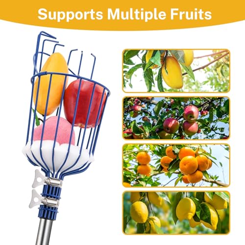 MaidMAX Fruit Picker, Fruit Picker, Stick for Picking Apples, Pears, Peaches, 4 Metres Long
