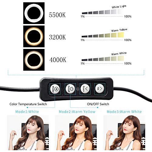 Dimmable Ring Light with Adjustable Height Light Stand,Selfie Stick and USB Plug,6" 3200K~5500K Beauty Table Top Lamp with Makeup Mirror,Mini Tripod and Phone Clamp, Perfect for Vlogs,YouTube Channel