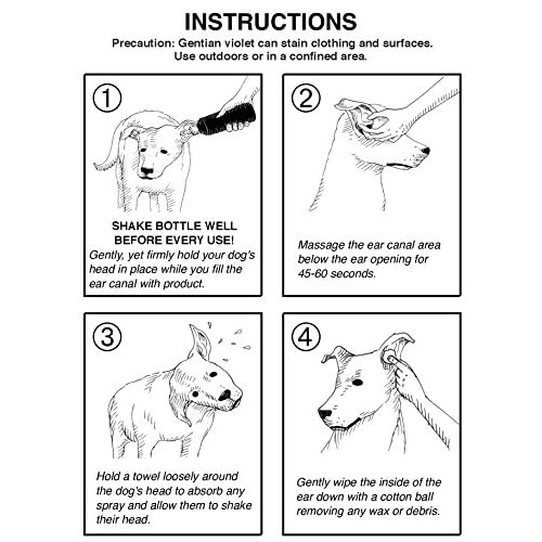 dog ear infection cleaner