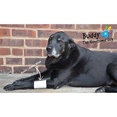 PawFlex Basic Leg Bandages for Dogs, Cats and Other Pets First Aid Non-Adhesive Fur Friendly - Value 10 Pack (5 Standard, 5 Wide) (Medium) - Thumbnail 5