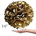 Vidal Crafts 30 Pcs Tissue Paper Pom Poms Kit (14
