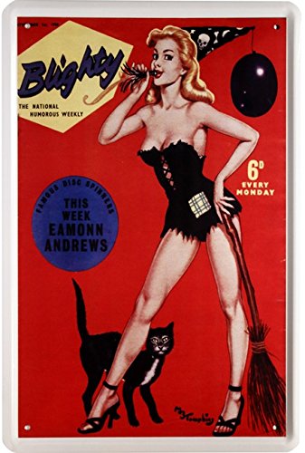Blighty Fantasy Girl Witch Black Cat 20 x 30 Nostalgia Decorative Tin Sign 1326