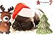 SCENEREAL Christmas Dog Squeaky Plush Toys - Best Small Cute Pet Puppy Soft Xmas Toy Set Pack 4 Pcs for Small Medium Dogs Cats Holidays Gifts