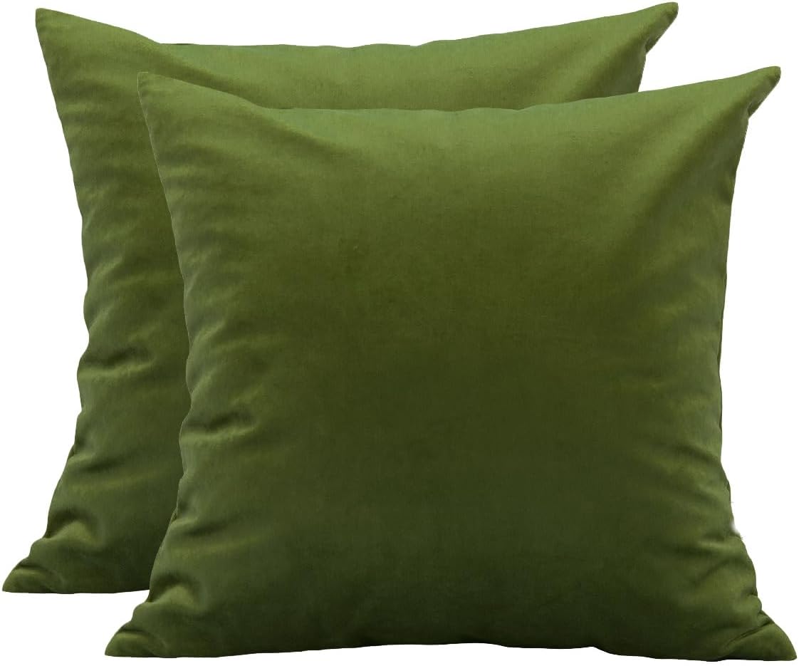 Decorative Pillows, Inserts & Covers - TangDepot Pack of 2 Solid Velvet Throw Pillow Covers, Cushion Shams, Super Luxury Soft Pillow Cases, Square Pillow Shells - (20x20 Inch 2 Pieces, Kiwi)
