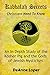 Kabbalah Secrets Christians Need to Know: An In Depth Study of the Kosher Pig and the Gods of Jewish Mysticism primary