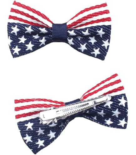 Amazon.com : 5 Pieces USA Independence Day Hair Barrettes  display picture 1