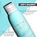 Intro size- Volumizing Hair System – Shampoo, Conditioner and Volumizing Mist – Add Volume, Bounce, Body, Lift, Sulfate Free | Paraben Free | Colored Treated (Intro)