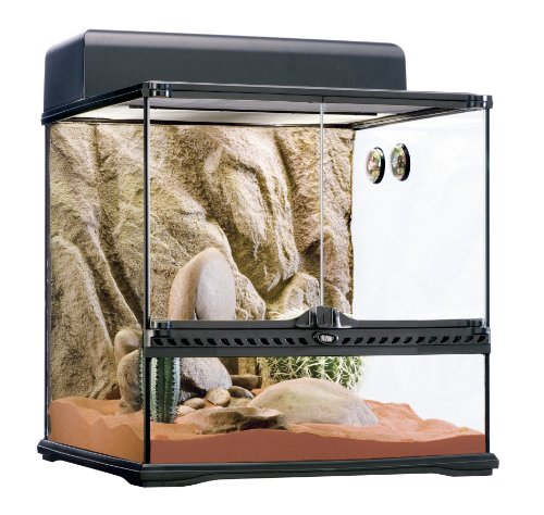 Complete Desert Habitat Kit for Exotic Reptiles Bahrain Ubuy