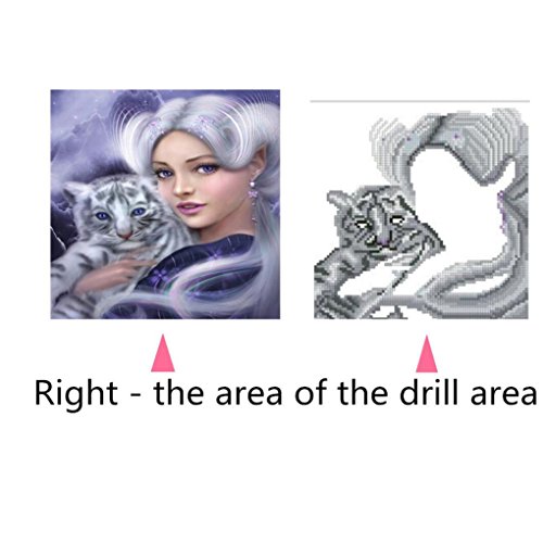 Clearance!!Canvas + Diamond Embroidery Paintings,5D DIY Rhinestone Pasted Painting Cross Stitch (A)