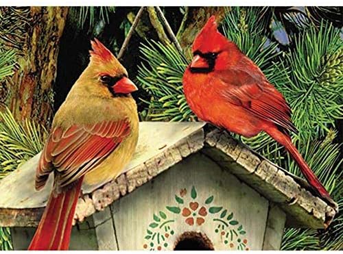 WEIYP 5D Diamond Painting Kits for Adults Full Drill The Cardinals Embroidery Rhinestone Painting Full Drill Paint with Diamond for Christmas Home Wall Deco-Cardinals