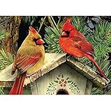 WEIYP 5D Diamond Painting Kits for Adults Full Drill The Cardinals Embroidery Rhinestone Painting
