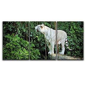 3 Panel Canvas Wall Art - White Tiger in The Forest - Giclee Print Gallery Wrap Modern Home Art Ready to Hang - 16"x24" x 3 Panels