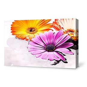 for Living Room Bedroom Home Artwork Paintings Orchid SPA Backgrounds