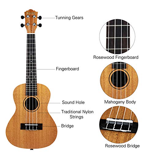 2 23in+Concert+Strong+Wind+Professional+Instrument