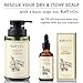 Kaffir Lime Essential Oil Leave On Scalp Treatment with Ginger Rhizome Extract - For Dandruff, Itchy, Unhealthy, Dry Scalp (Natural Ingredients, NO Sulfates, Silicone, Perfume or PARABEN)