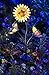 Moonrays 92537 Solar-Powered Butterfly & Sunflower Garden White LED Stake Light