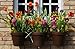 Flower Pot Klips (12 Pack)