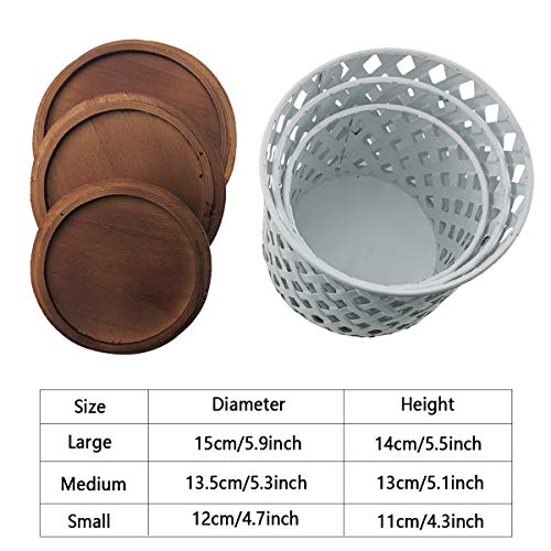 HuiDao Metal Storage Cans with Wood Lids, Hollowed Out Design Round Canister, Decorative Storage Jars Containers for Home Living Room Bedroom Office Desks Shelves, White, Set of 3