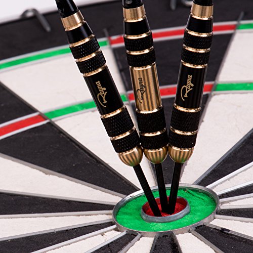 Rayna Games Professional Darts Set - Steel Tip Darts with Aluminum Shafts and Different Style Flights + Dart Sharpener + Premium Dart Case