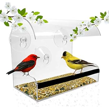 Amazon Com Gray Bunny Gb 6842 Window Bird Feeder Clear Premium