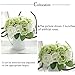 CQURE Artificial Flowers, Fake Flowers Silk Artificial Roses 9 Heads Bridal Wedding Bouquet for Home Garden Party Wedding Decoration (Green White)