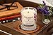 One Fur All Pet Candle Plant-Based, Clean Burning Forest Scented Candle for Pet Odor - Evergreen Forest