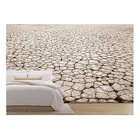 Cracked Parched Earth in The Future - Removable Wall Mural | Self-Adhesive Large Wallpaper - 66x96 inches